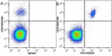 Anti Human CD20 Antibody, clone 2H7 gallery image 53