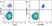 Anti Human CD20 Antibody, clone 2H7 thumbnail image 53