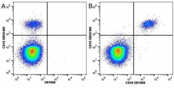Anti Human CD20 Antibody, clone 2H7 gallery image 54