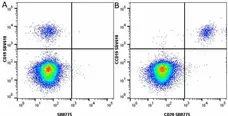 Anti Human CD20 Antibody, clone 2H7 gallery image 55