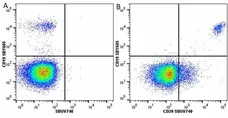 Anti Human CD20 Antibody, clone 2H7 gallery image 59