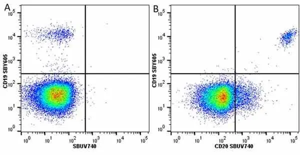 Anti Human CD20 Antibody, clone 2H7 gallery image 59