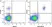 Anti Human CD20 Antibody, clone 2H7 thumbnail image 6