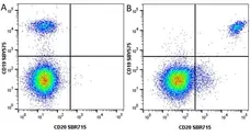 Anti Human CD20 Antibody, clone 2H7 gallery image 60