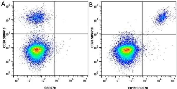 Anti Human CD20 Antibody, clone 2H7 gallery image 62