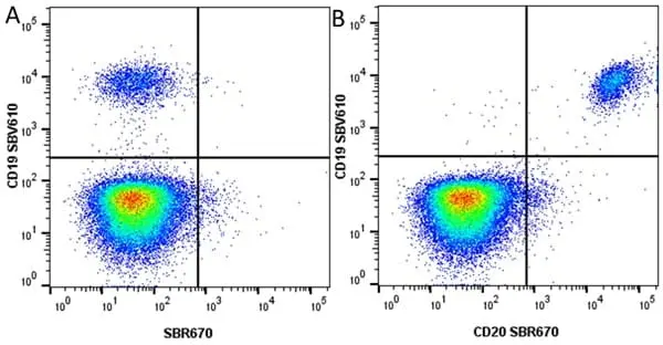 Anti Human CD20 Antibody, clone 2H7 gallery image 63