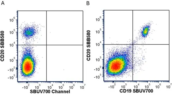 Anti Human CD20 Antibody, clone 2H7 gallery image 66