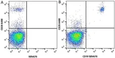 Anti Human CD20 Antibody, clone 2H7 gallery image 8