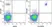 Anti Human CD20 Antibody, clone 2H7 thumbnail image 8
