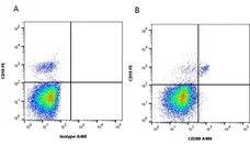 Anti Human CD200 Antibody, clone OX-104 gallery image 2