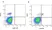 Anti Human CD200 Antibody, clone OX-104 thumbnail image 2