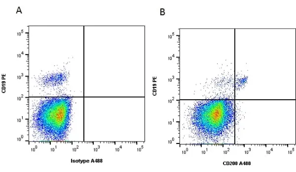 Anti Human CD200 Antibody, clone OX-104 gallery image 2
