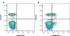 Anti Human CD200R Antibody, clone OX108 gallery image 1