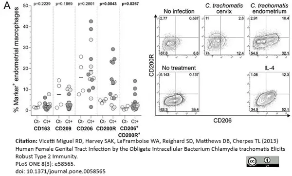 Anti Human CD200R Antibody, clone OX108 gallery image 4