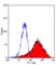 Anti Human CD209 Antibody, clone MR-1 thumbnail image 1