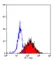Anti Human CD209 Antibody, clone MR-1 thumbnail image 5
