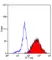 Anti Human CD209 Antibody, clone MR-1 thumbnail image 6