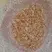 Anti Human CD21 Antibody, clone 2G9 thumbnail image 1