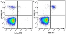 Anti Human CD21 Antibody, clone Bu33 gallery image 2