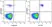 Anti Human CD21 Antibody, clone Bu33 thumbnail image 2