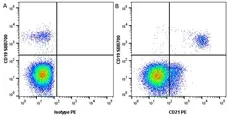 Anti Human CD21 Antibody, clone Bu33 gallery image 3