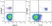 Anti Human CD21 Antibody, clone Bu33 thumbnail image 3