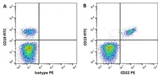 Anti Human CD22 Antibody, clone MEM-01 gallery image 1