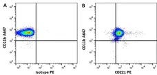 Anti Human CD221 Antibody, clone 1H7 gallery image 1