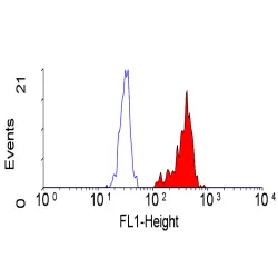 Anti Human CD222 Antibody, clone MEM-238 gallery image 2