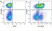 Anti Human CD226 Antibody, clone DX11 thumbnail image 11