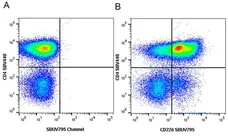 Anti Human CD226 Antibody, clone DX11 gallery image 13