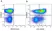 Anti Human CD226 Antibody, clone DX11 thumbnail image 13