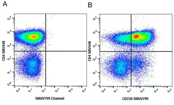Anti Human CD226 Antibody, clone DX11 gallery image 13