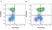 Anti Human CD226 Antibody, clone DX11 thumbnail image 15