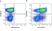 Anti Human CD226 Antibody, clone DX11 thumbnail image 17