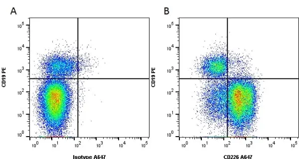 Anti Human CD226 Antibody, clone DX11 gallery image 2