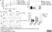 Anti Human CD226 Antibody, clone DX11 thumbnail image 6
