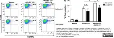Anti Human CD226 Antibody, clone DX11 gallery image 7