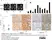 Anti Human CD229 Antibody, clone HLy9.1.25 thumbnail image 4