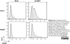 Anti Human CD229 Antibody, clone HLy9.1.25 gallery image 6