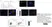 Anti Human CD229 Antibody, clone HLy9.1.25 thumbnail image 8
