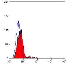 Anti Human CD23 Antibody, clone D3.6 gallery image 2