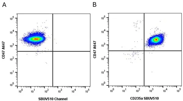 Anti Human CD235a Antibody, clone YTH89.1 gallery image 11