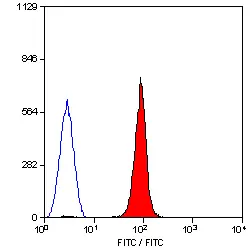 Anti Human CD235a Antibody, clone YTH89.1 gallery image 2