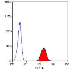 Anti Human CD235a Antibody, clone YTH89.1 gallery image 3