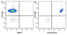Anti Human CD235a Antibody, clone YTH89.1 gallery image 8