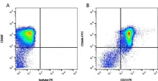 Anti Human CD24 Antibody, clone SN3 gallery image 1