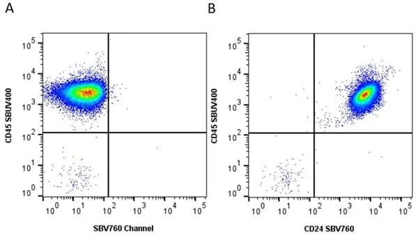 Anti Human CD24 Antibody, clone SN3 gallery image 11