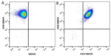 Anti Human CD24 Antibody, clone SN3 gallery image 6