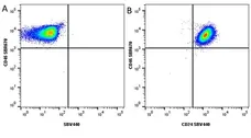 Anti Human CD24 Antibody, clone SN3 gallery image 7